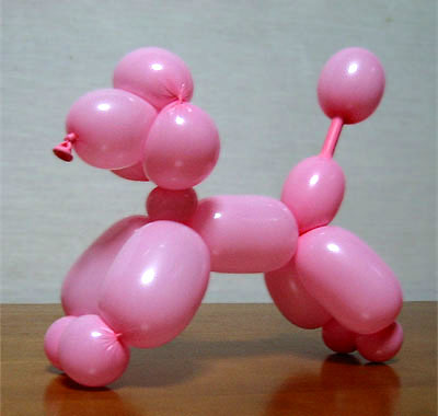 �o���[�� �v�[�h�� balloon poodle