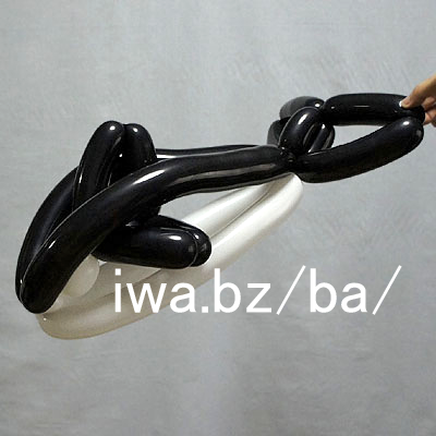 �o���[�� �V���` balloon killer whale