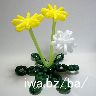 �o���[�� ����ۂ� dandelion