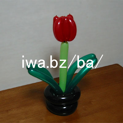 �o���[�� �� �`���[���b�v