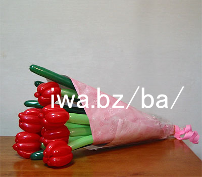 �o���[�� �� �`���[���b�v